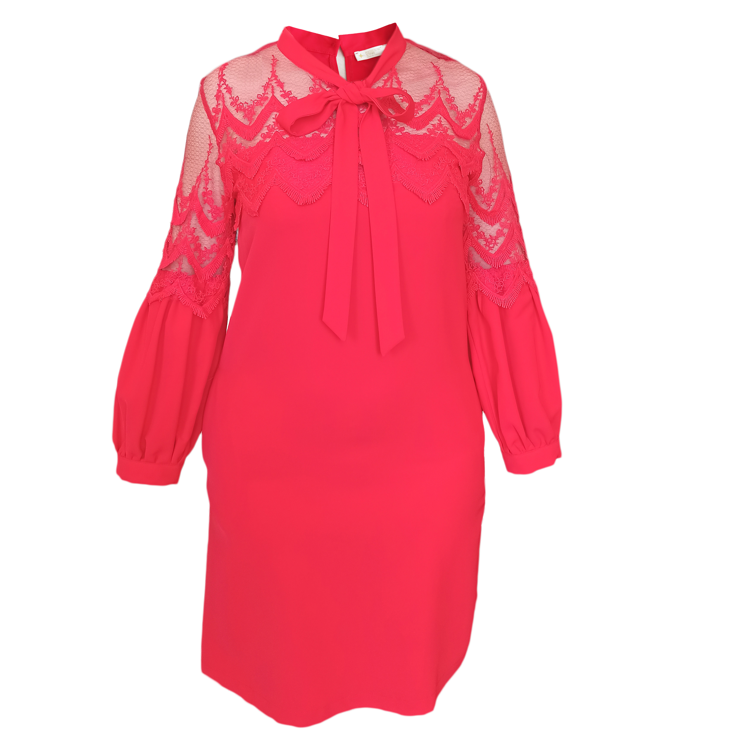 پیراهن زنانه مجلسی مدل دانتل Rissing Star 149 پیراهن زنانه مجلسی مدل دانتل Rissing Star 149